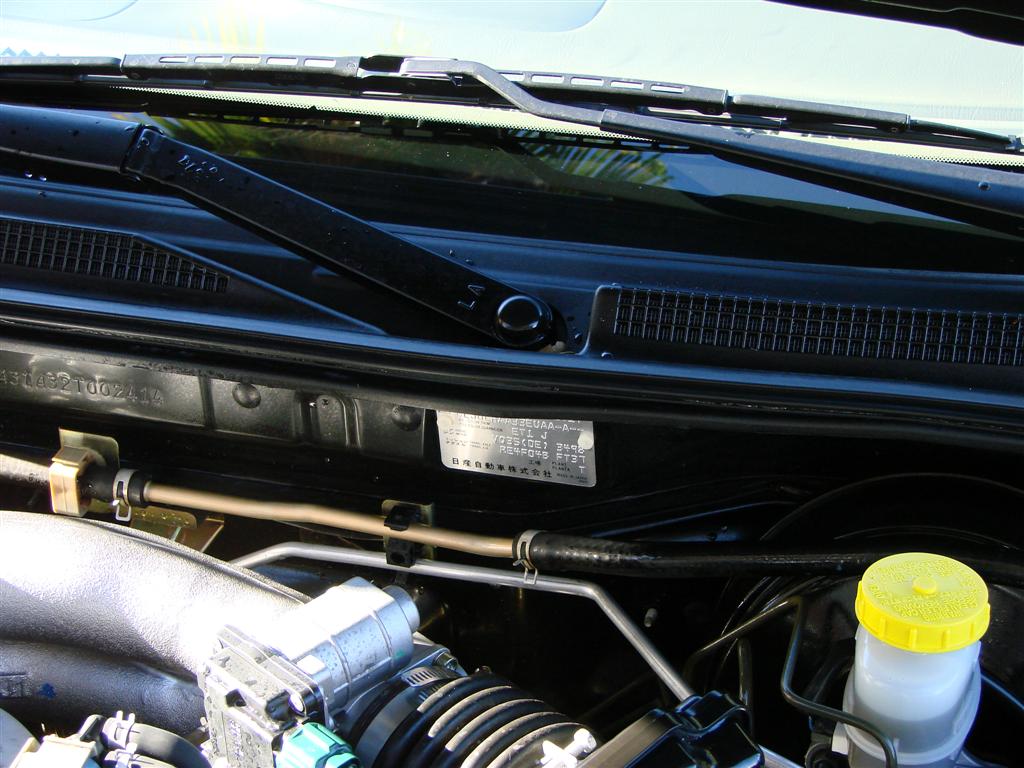 DSC00711_Large_