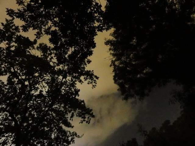 DSC00723-wr