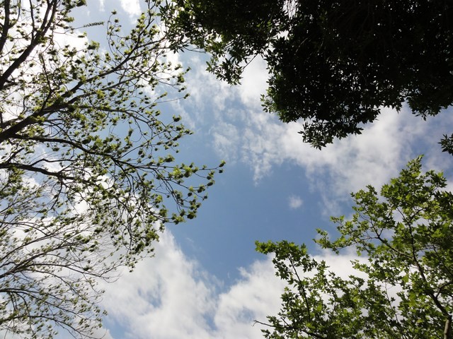 DSC00730-wr