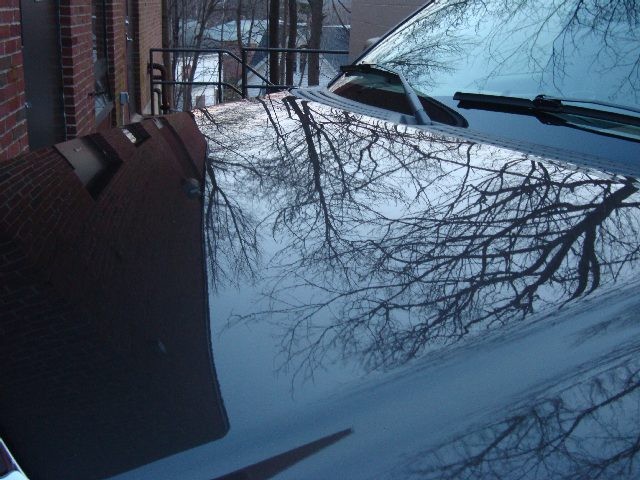 DSC01033