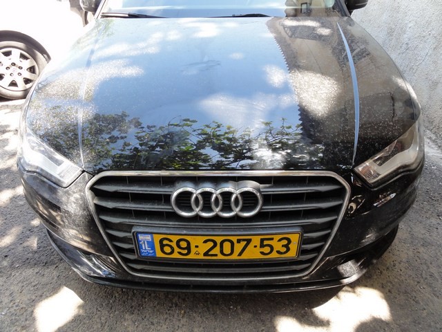 DSC01209-wr
