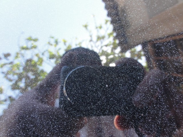 DSC01210-wr