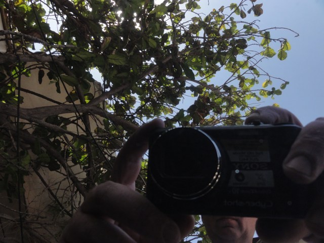 DSC01217-wr