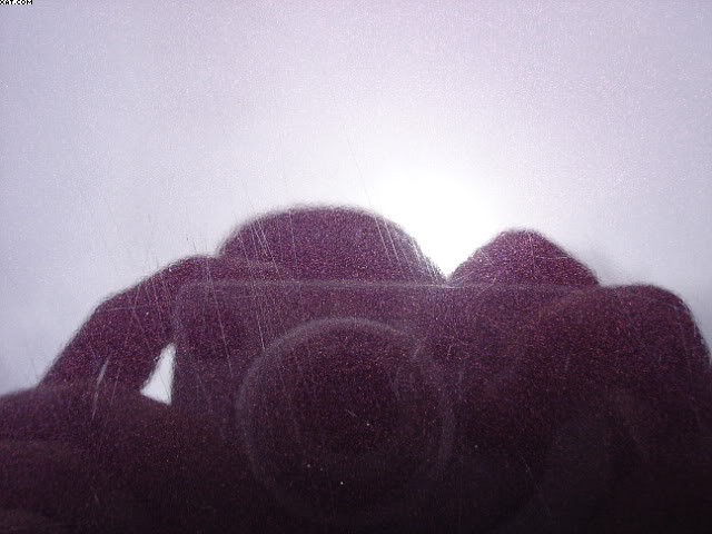 DSC024311