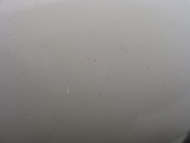 DSC02538