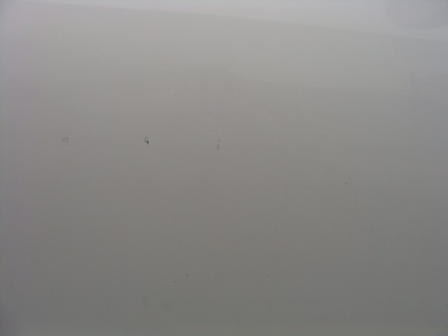 DSC02539