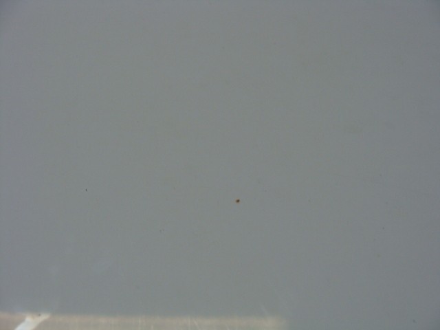 DSC02555