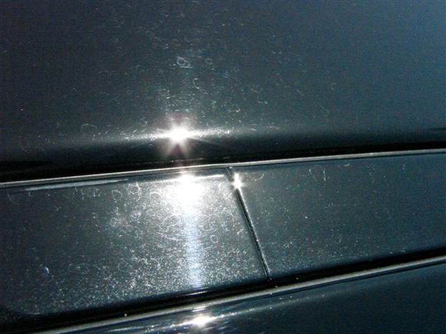 DSC03534_Small_