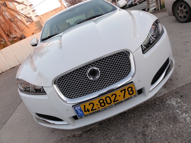 DSC03567-wr