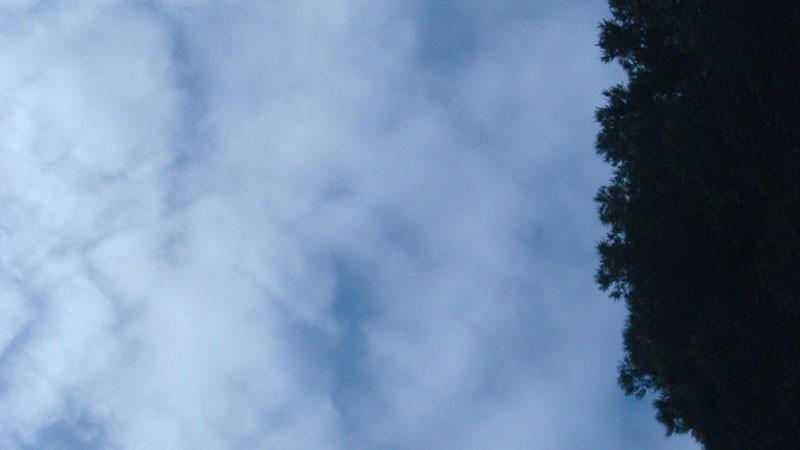 DSC03832
