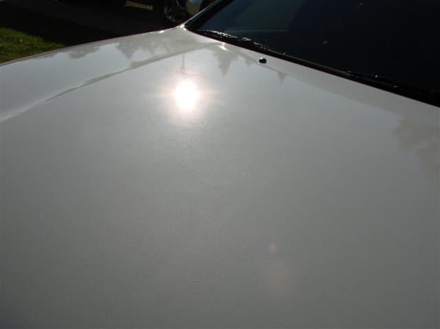DSC04066_Small_