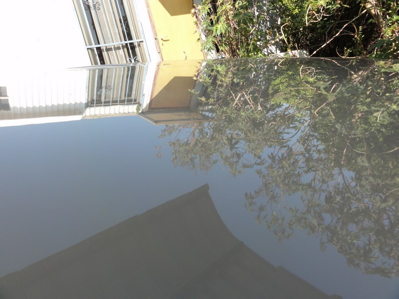 DSC04856-wr1