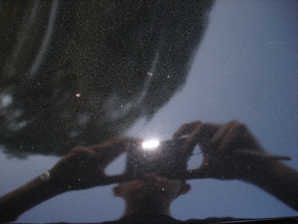 DSC04912
