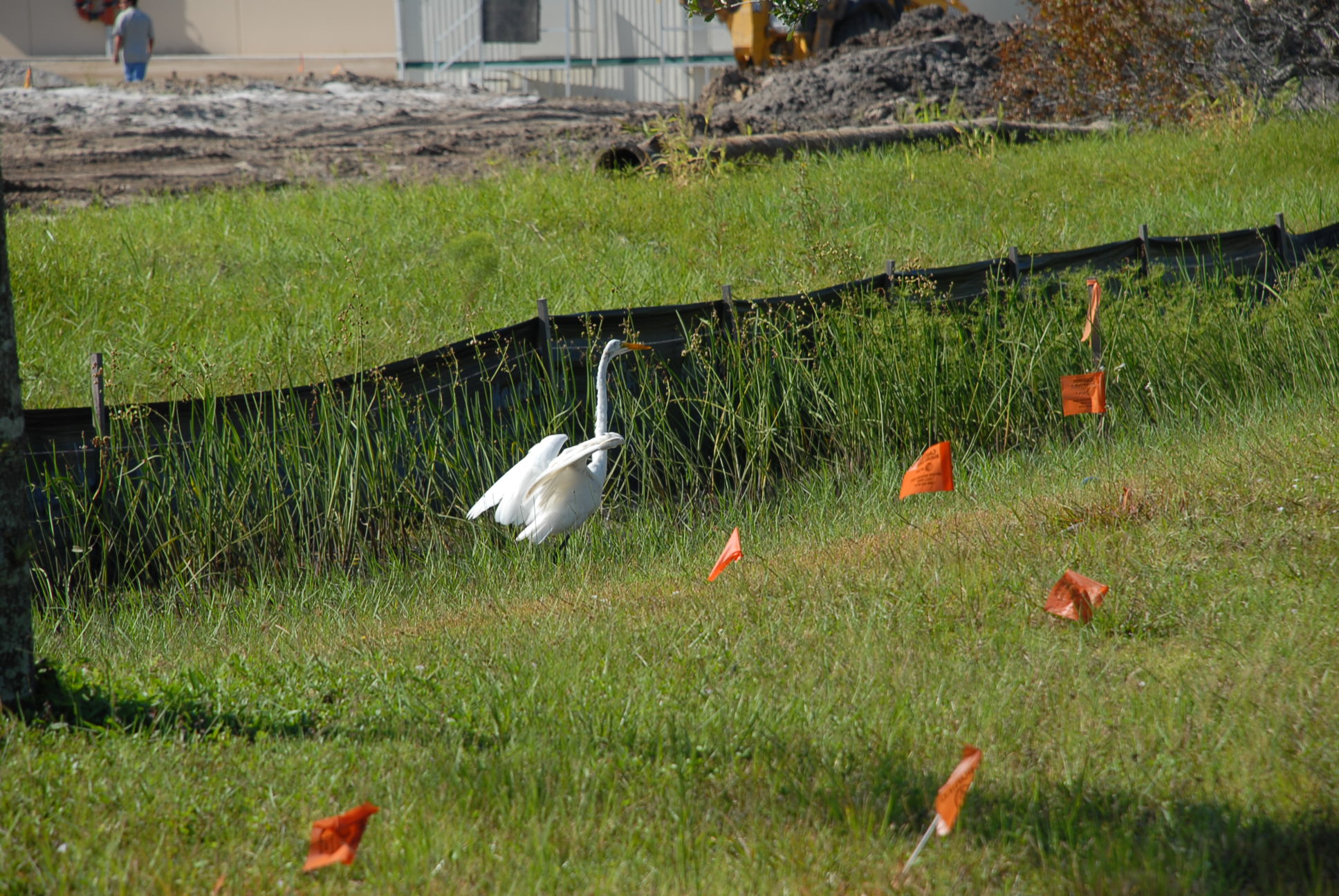 DSC_0080