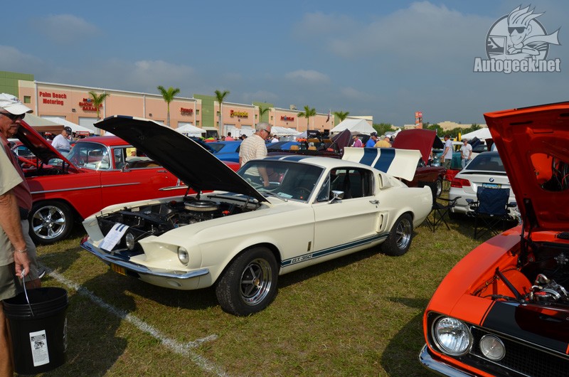 DSC_0121_2_