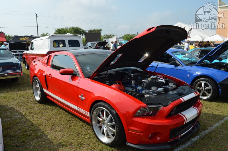 DSC_0132_2_