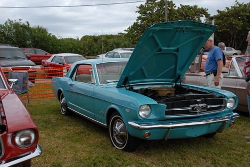DSC_0531