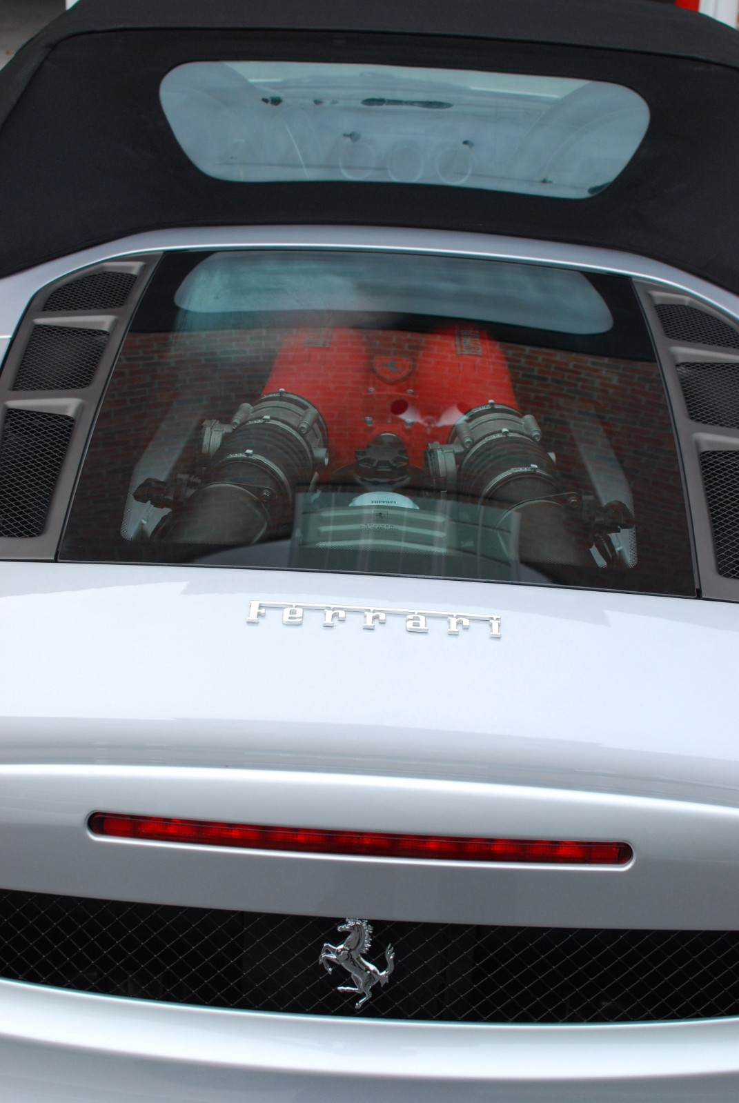 DSC_1247web