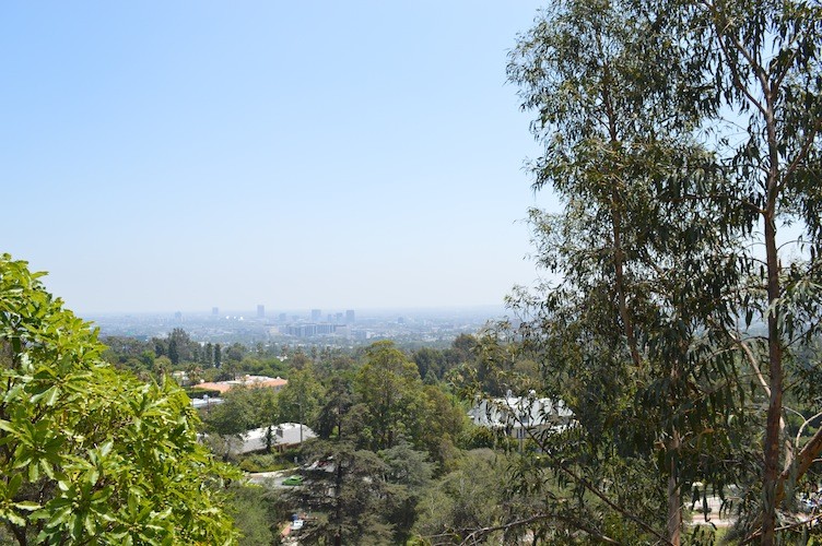 DSC_2846