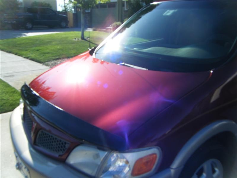 DSCF2494_Medium_