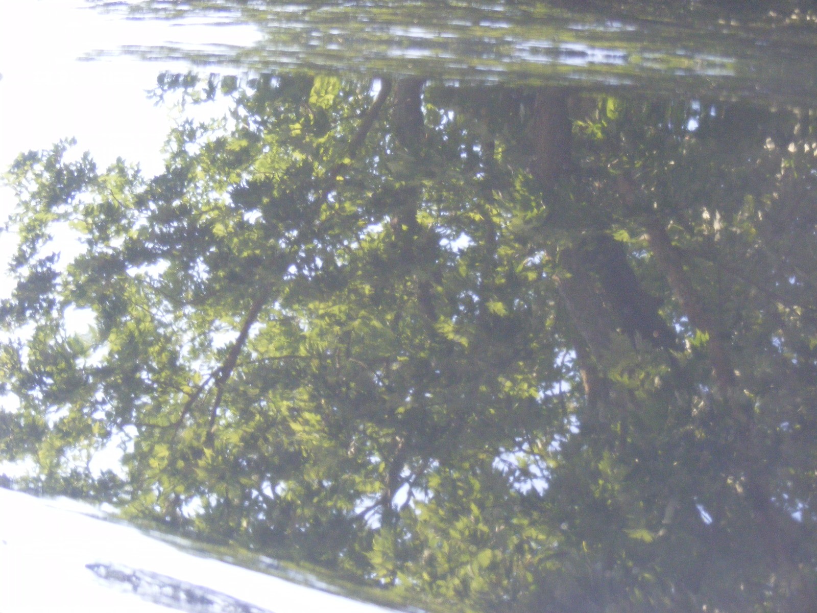 DSCF2698