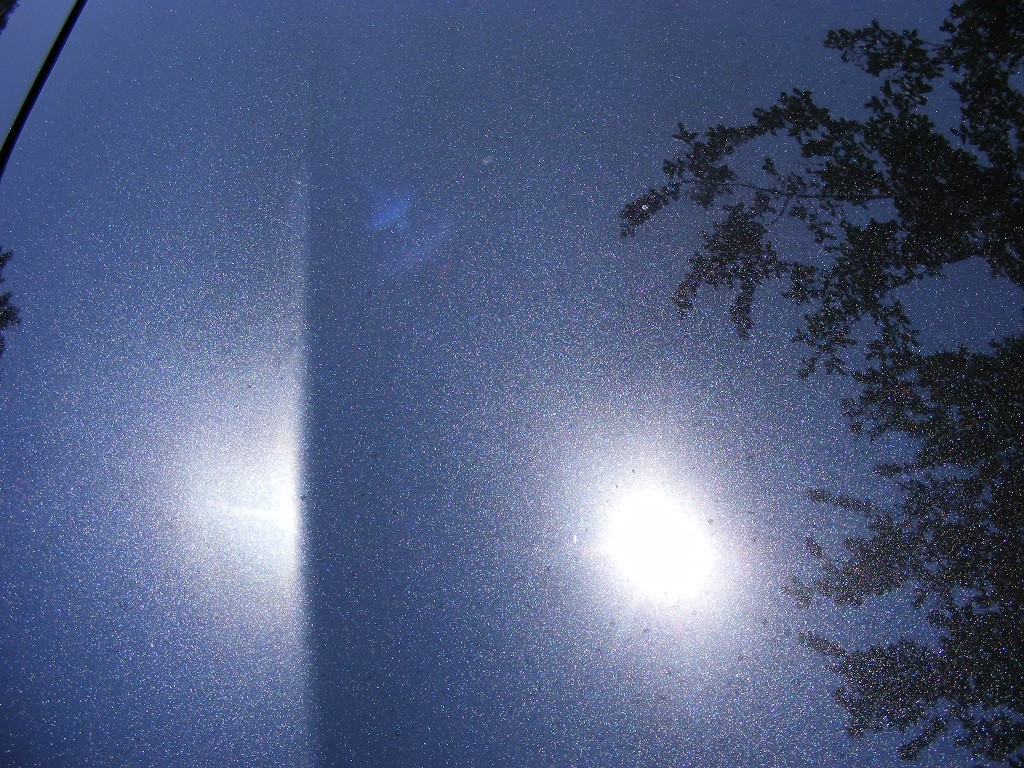 DSCF5842-1
