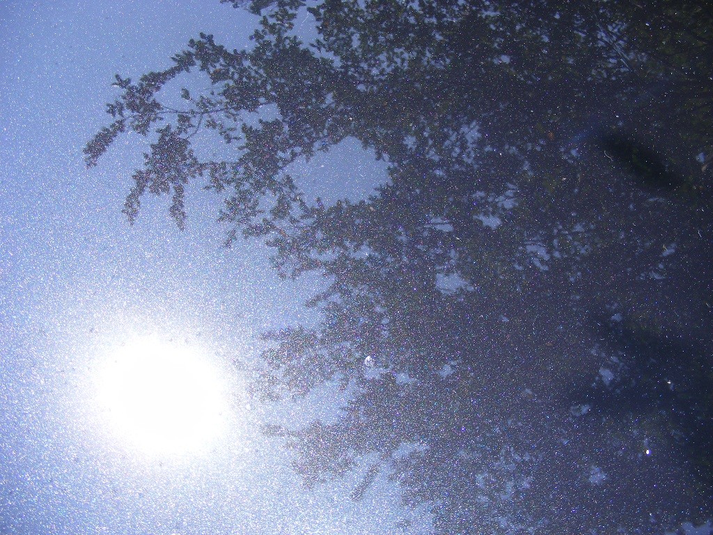 DSCF5843-1