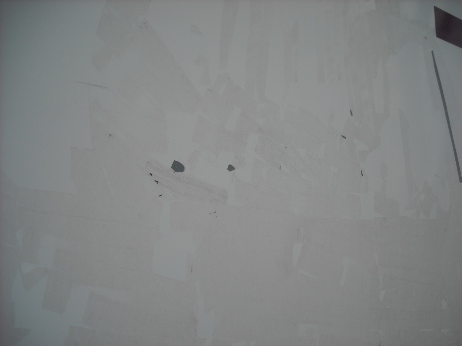 DSCN0530