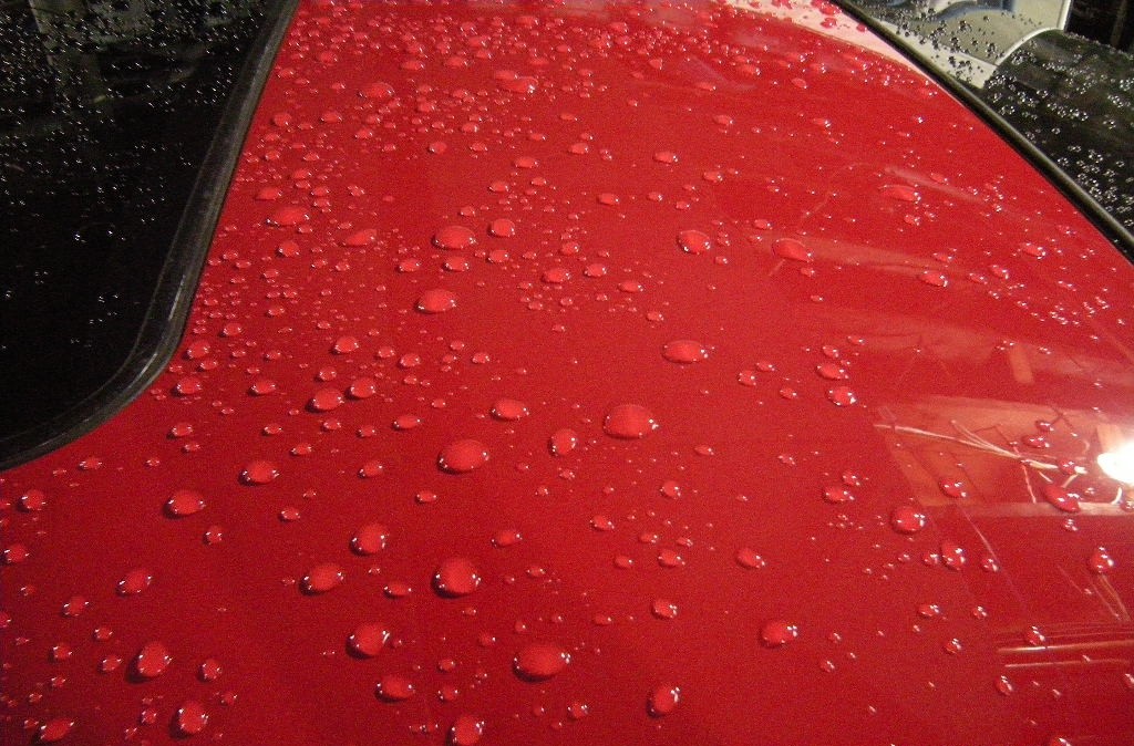 DSCN0610