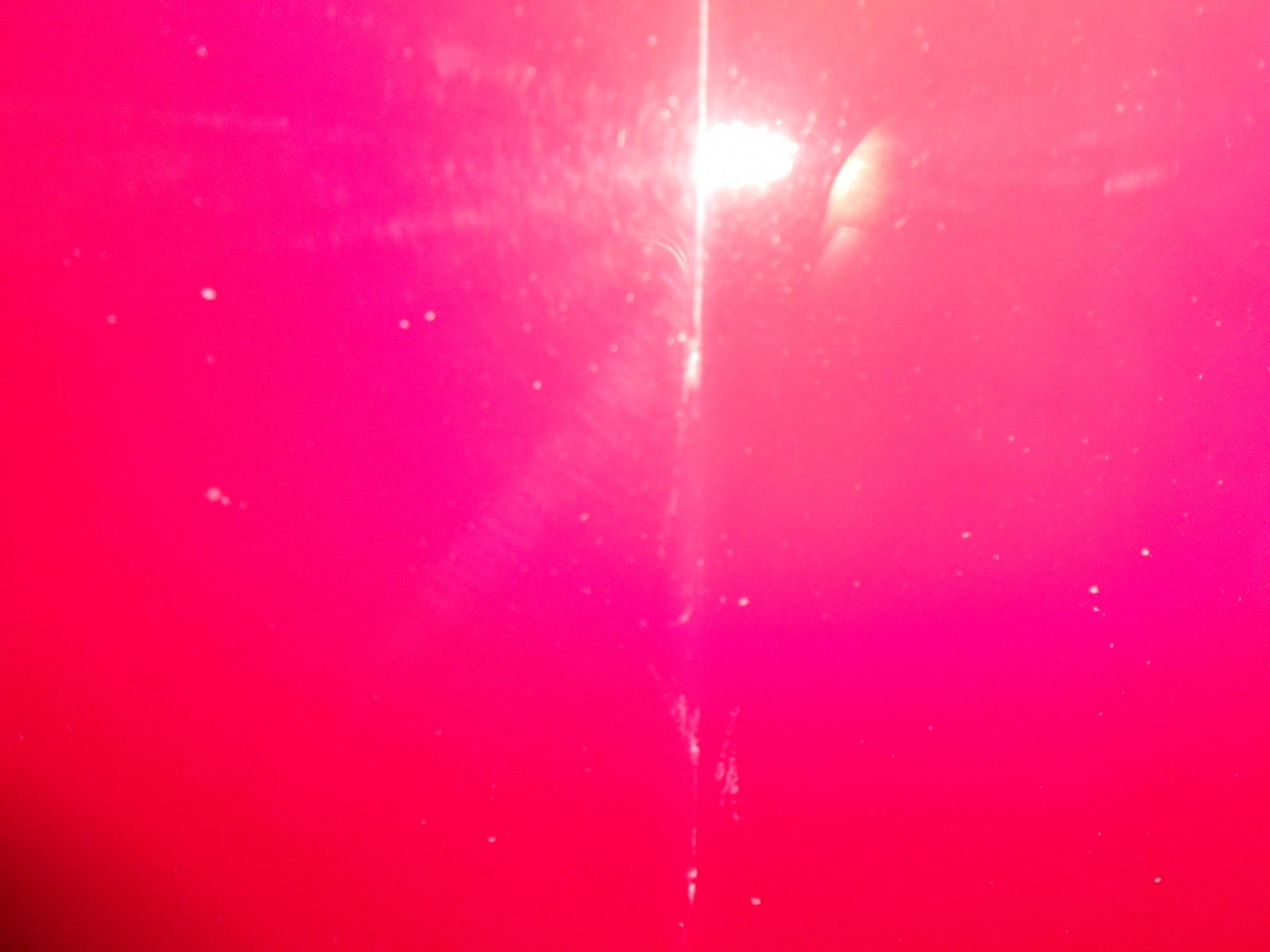 DSCN0618