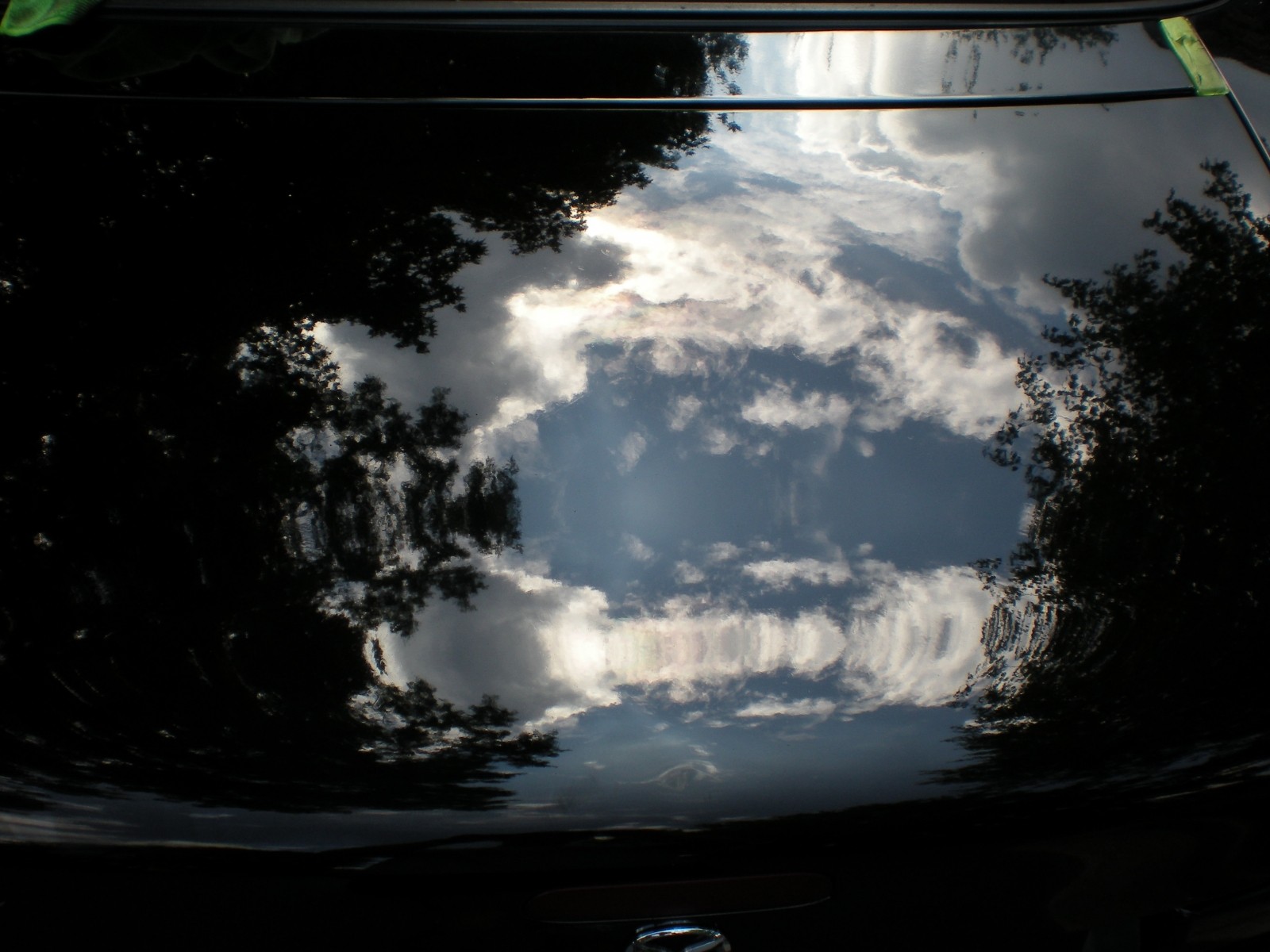 DSCN0631