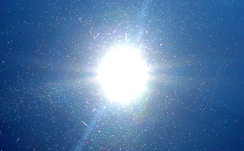 DSCN7308