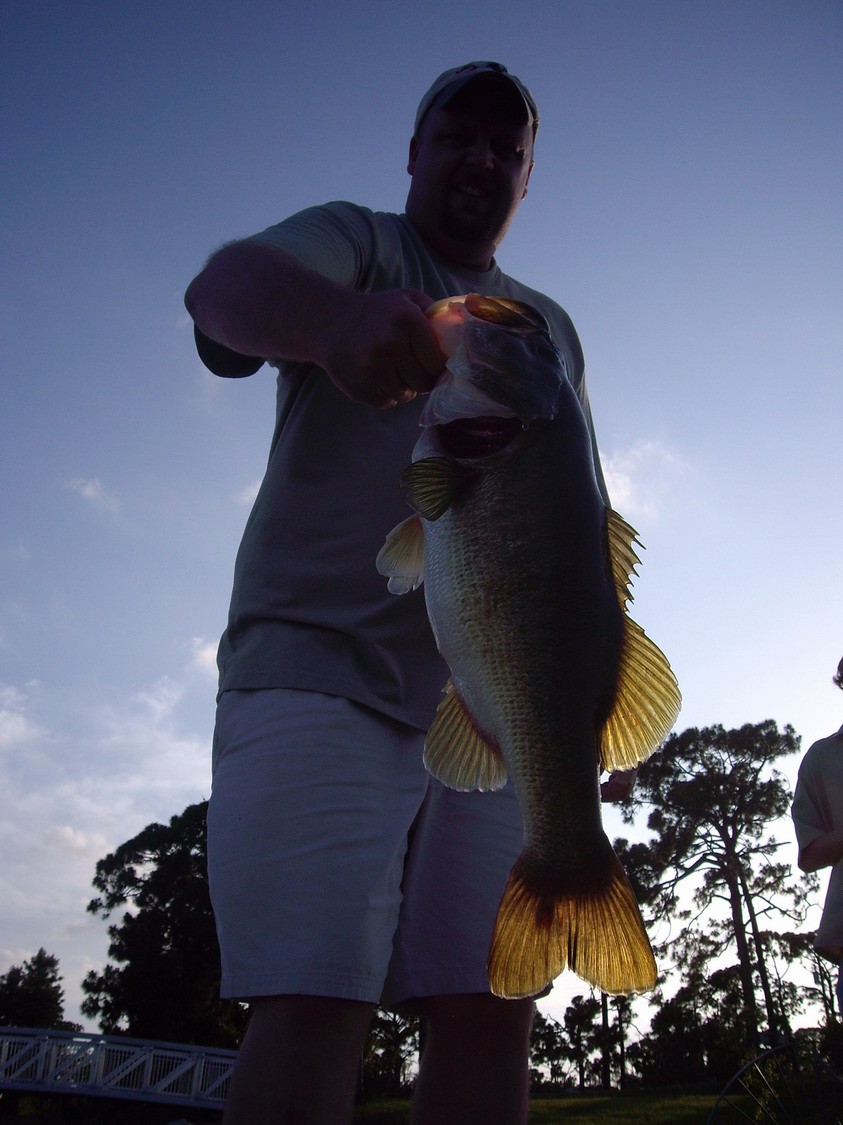 dwaynebass