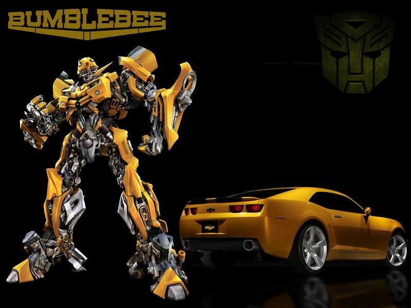 DWP849X Bumblebee