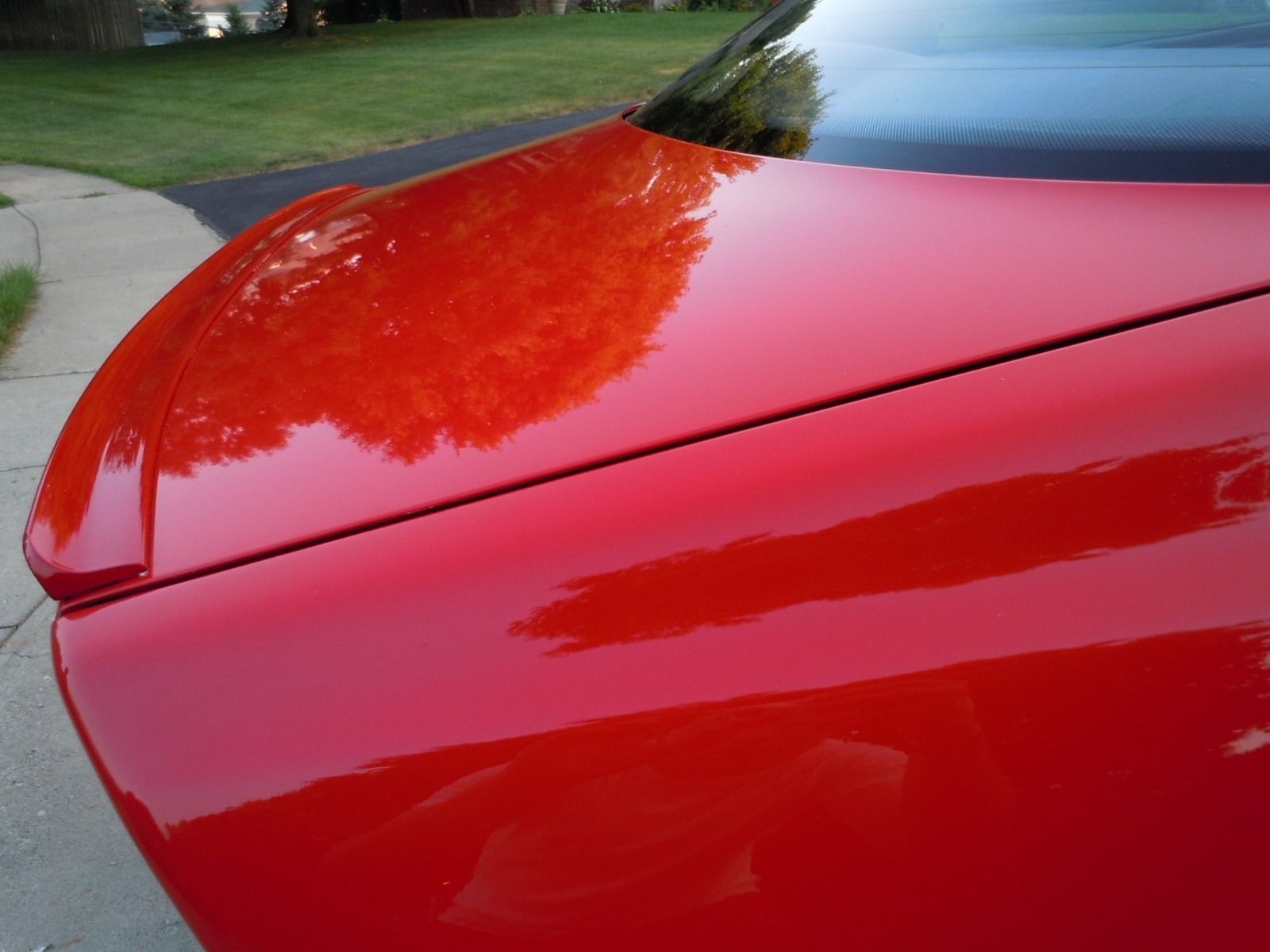 E36