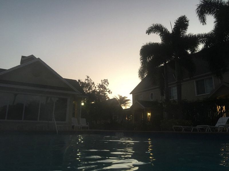 early_swim_01