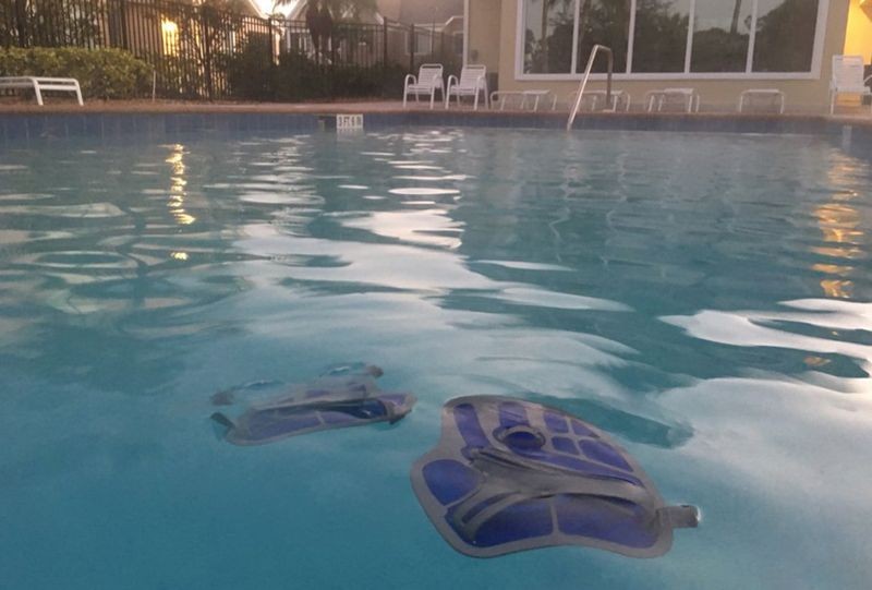 early_swim_02