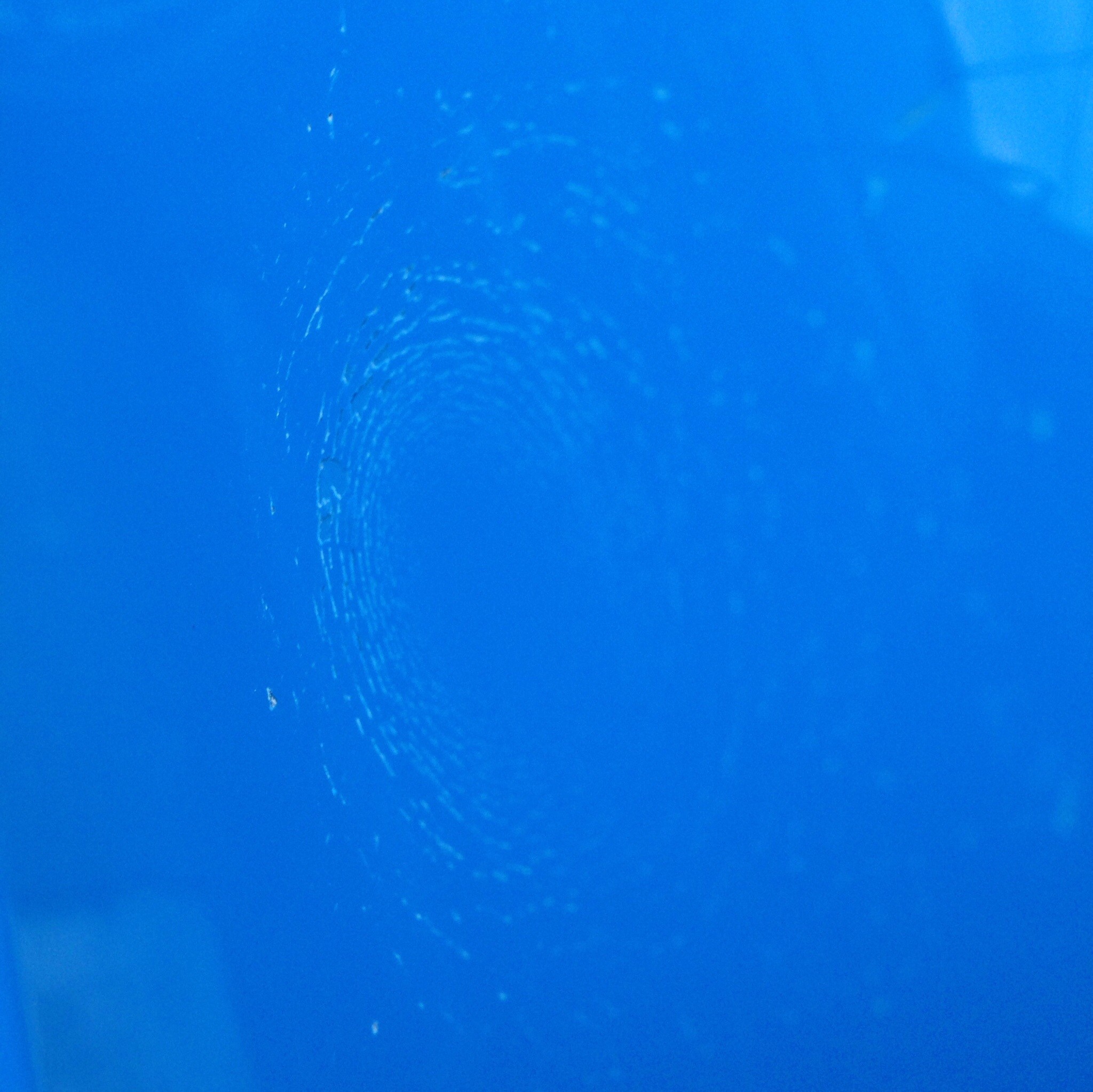Egg6