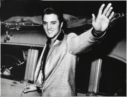 Elvis