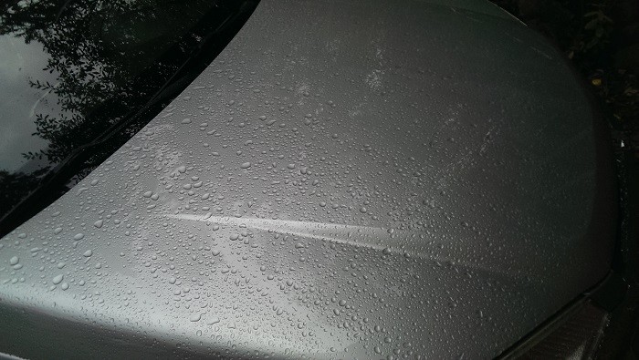 Equinox hood