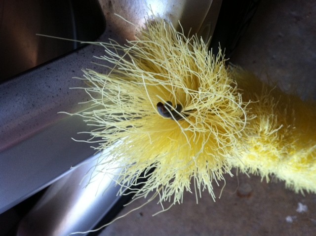 Exposed wire