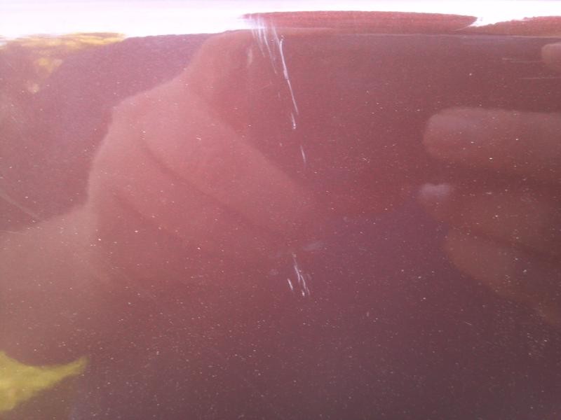F-150 First Detail
