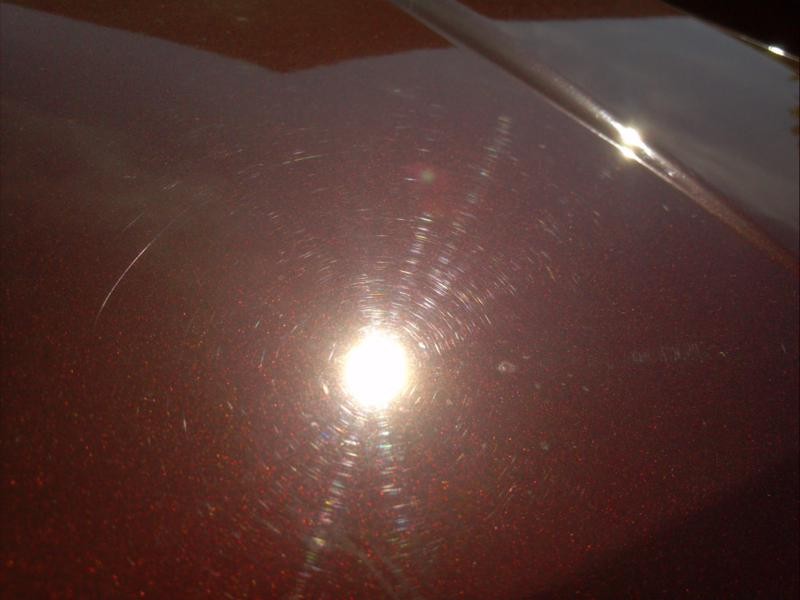 F-150 First Detail