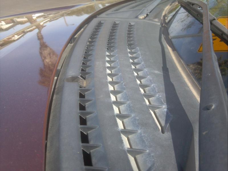 F-150 First Detail