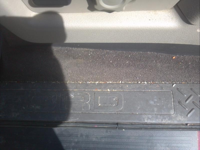 F-150 First Detail