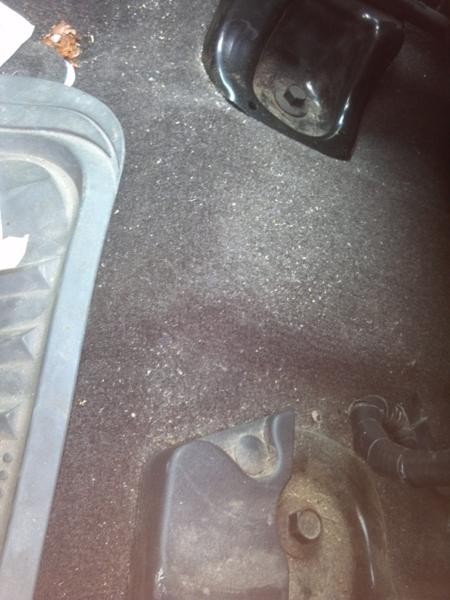 F-150 First Detail