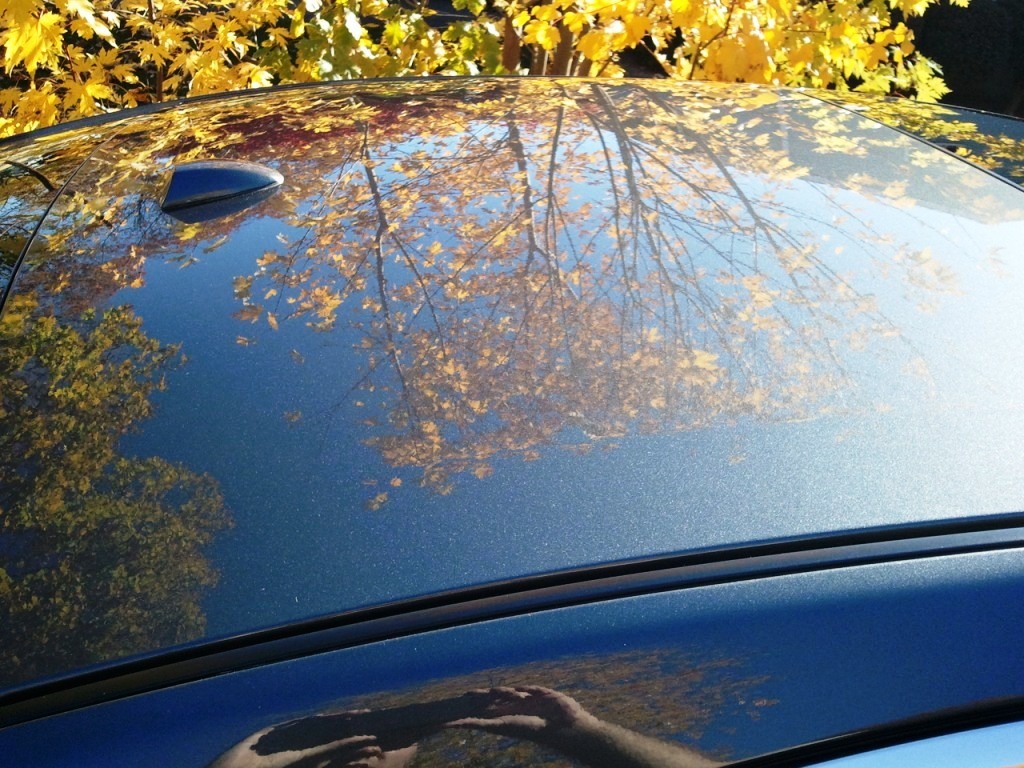 Fall Refresh