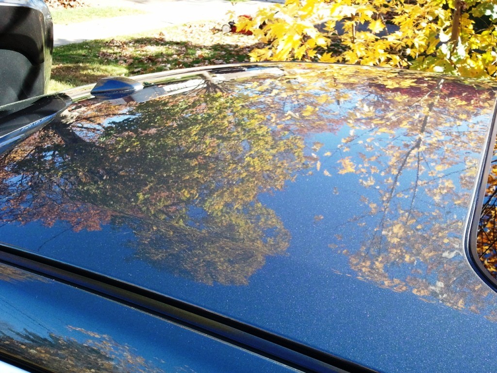 Fall Refresh