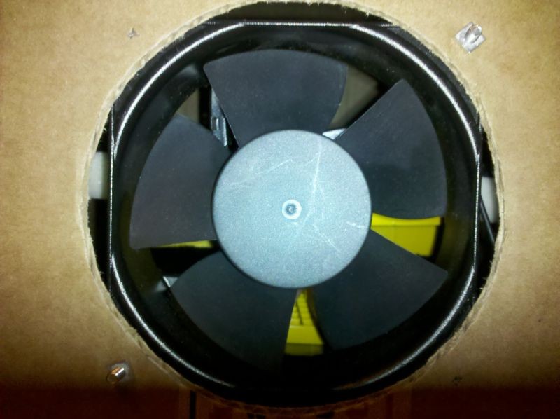 Fan