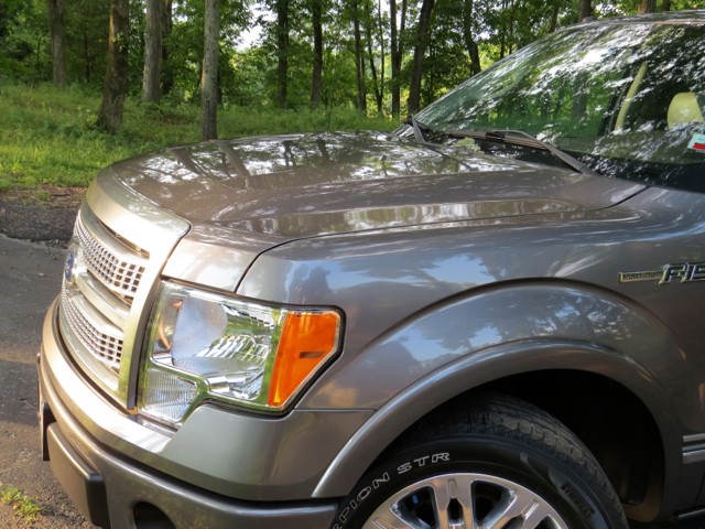 First Detail-2010 Ford F150 Platinum
